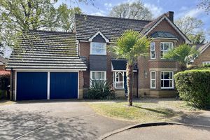 Photo 11- click for photo gallery